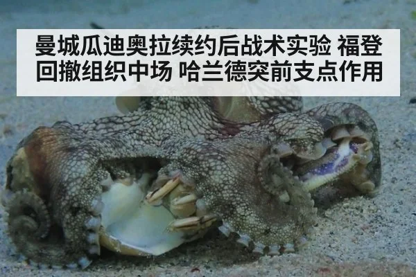 曼城瓜迪奥拉续约后战术实验 福登回撤组织中场 哈兰德突前支点作用