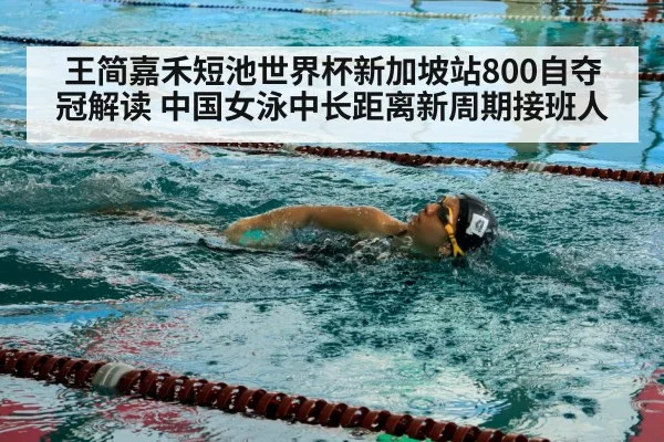 王简嘉禾短池世界杯新加坡站800自夺冠解读 中国女泳中长距离新周期接班人